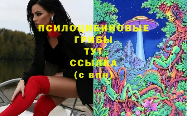 мефедрон Алексеевка