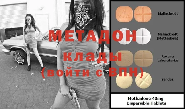 стаф Алексин