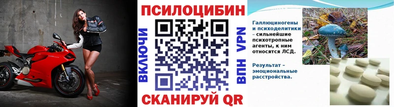 хочу   Новороссийск  Галлюциногенные грибы Cubensis 