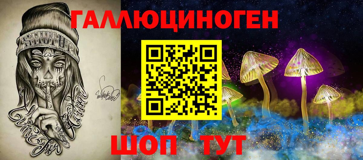 Alpha-PVP СК   Новороссийск  Вход с VPN  Где купить наркотики?  COCAIN  Меф МЯУ МЯУ   Меф МЯУ МЯУ  Гашиш  ЭКСТАЗИ  Марихуана  МДМА 