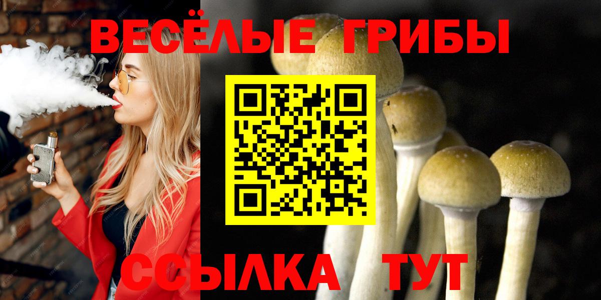Псилоцибиновые грибы Psilocybe Новороссийск
